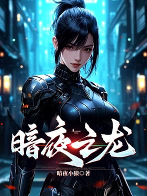 暗夜之光电视剧免费观看